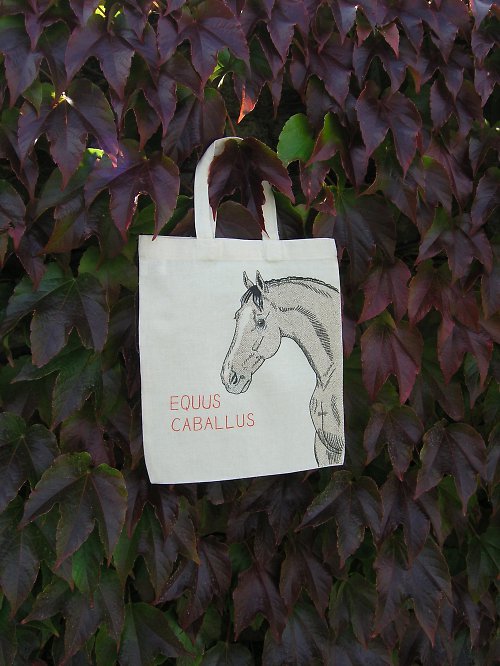 Taška EQUUS — foto 6