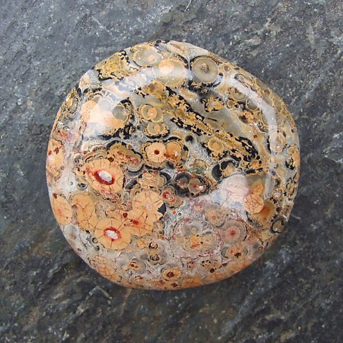 Jaspis Leopardí — foto 2