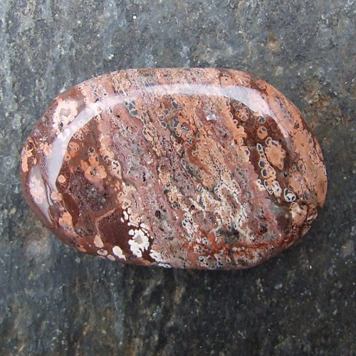 Jaspis Leopardí — foto 2