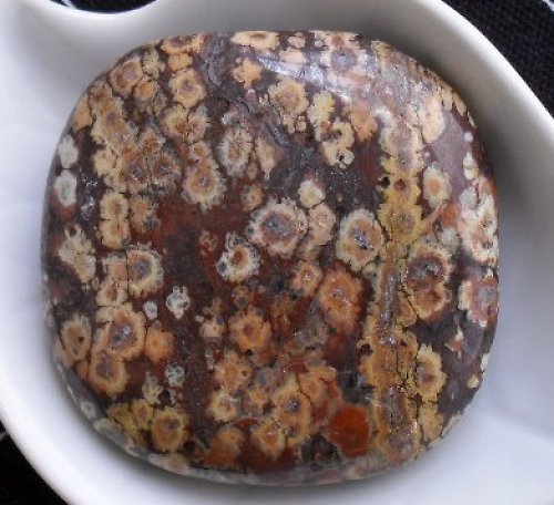 Jaspis leopard 42x42mm — foto 2