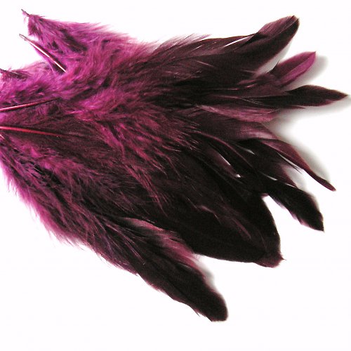 Peříčka růžovofialová 15-20cm-4ks — foto 2
