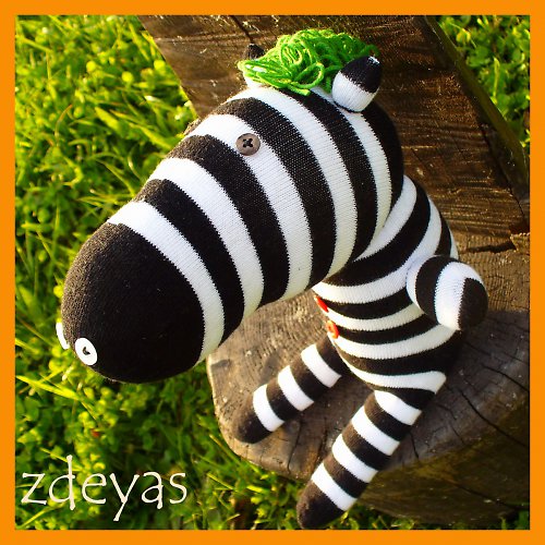 Pan Zebra — foto 2