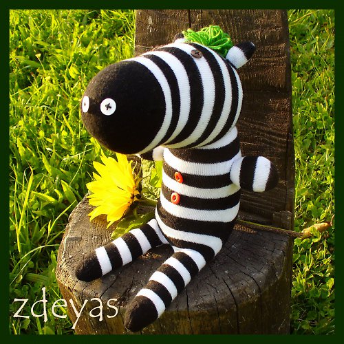 Pan Zebra — foto 4