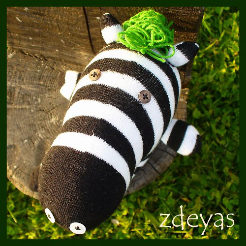 Pan Zebra — foto 5