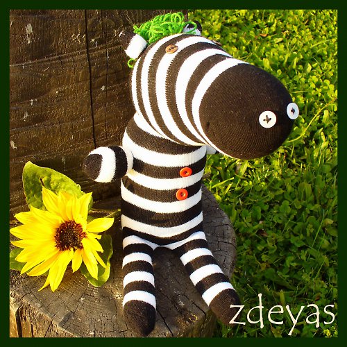 Pan Zebra — foto 6