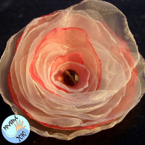 Apricot queen (souprava) — foto 4