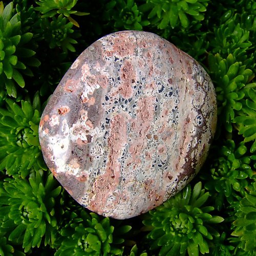 Jaspis Leopardí — foto 2