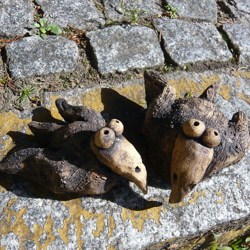 Ptáci Loskutáci — foto 2