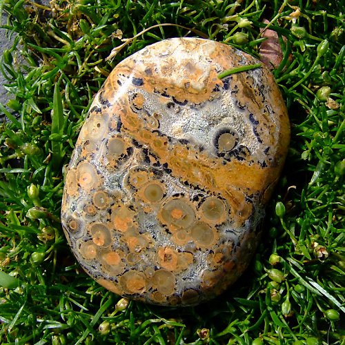 Jaspis Leopardí — foto 2