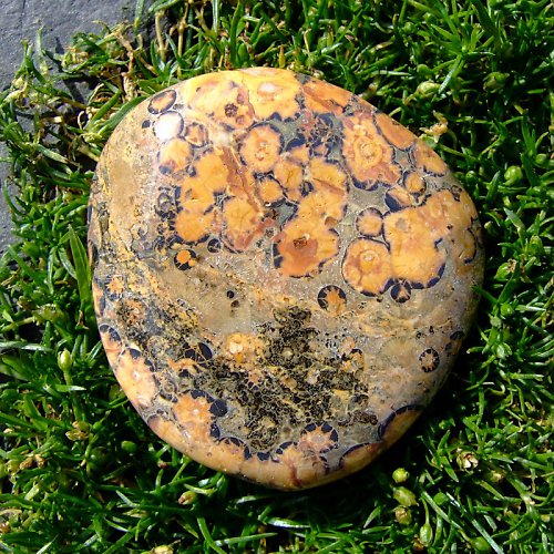 Jaspis Leopardí — foto 2