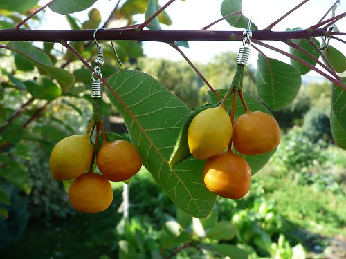 Citrusy do ouška :-) SLEVA z 65 Kč !!! — foto 2