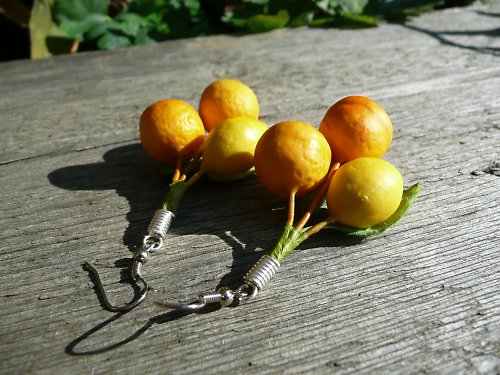 Citrusy do ouška :-) SLEVA z 65 Kč !!! — foto 3