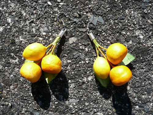 Citrusy do ouška :-) SLEVA z 65 Kč !!! — foto 5