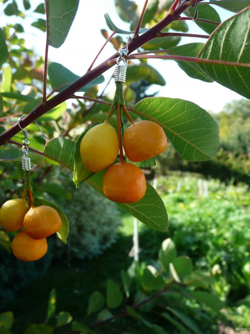 Citrusy do ouška :-) SLEVA z 65 Kč !!! — foto 6