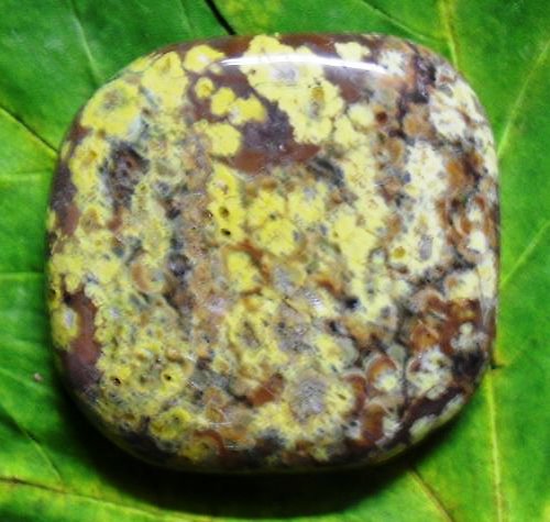 Jaspis leopard 42x40mm — foto 2