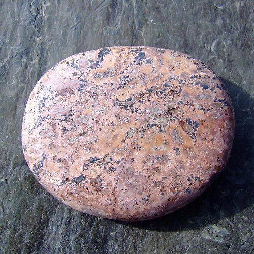 Jaspis Leopardí — foto 2
