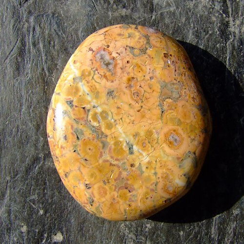Jaspis Leopardí — foto 2