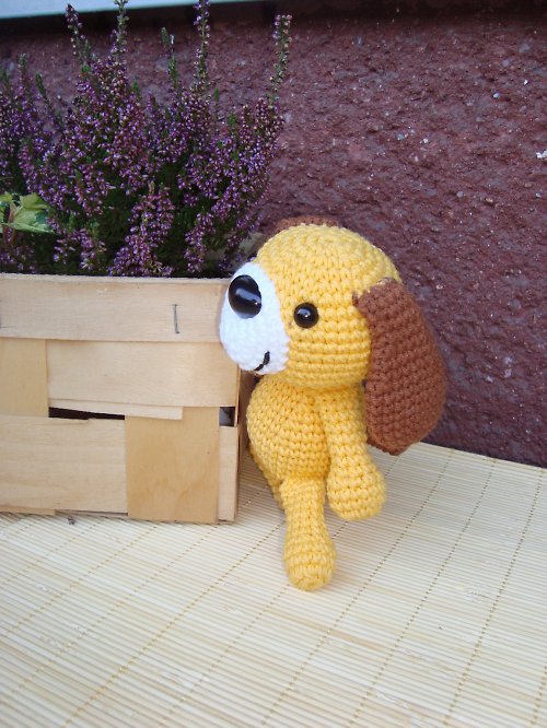 Frankie the Dog — foto 2