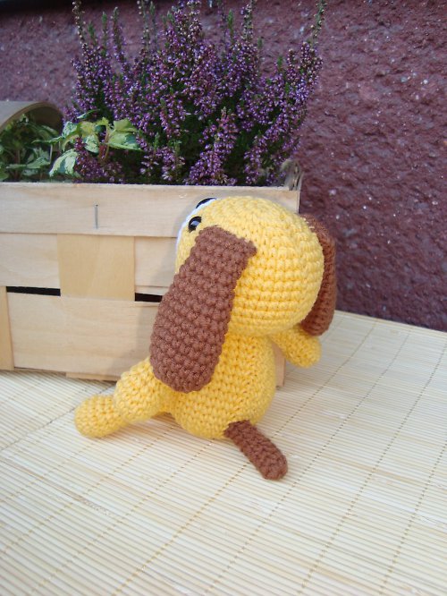 Frankie the Dog — foto 3