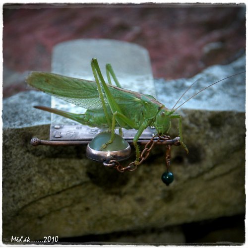 Nepřehlédneš mne.............. — foto 2