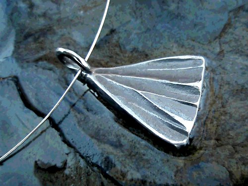 Lístek Jinanu dvoulaločného — foto 3