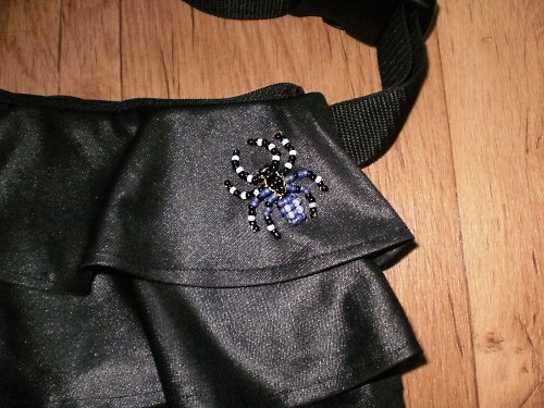 Discoledvinka s pavoučkem pro štěstí — foto 2