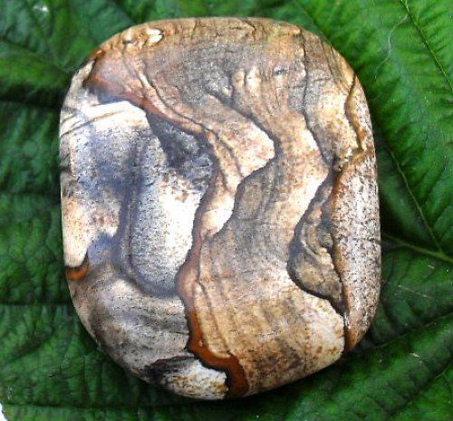 Obrázkový jaspis 43x36mm — foto 2