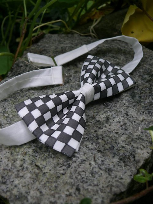 Pánský motýlek - Šachovnice — foto 2