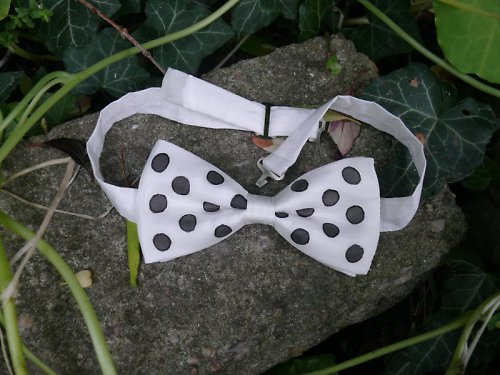 Pánský motýlek - Černé puntíky — foto 2
