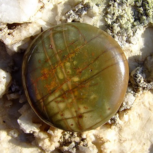 Jaspis Picasso — foto 2