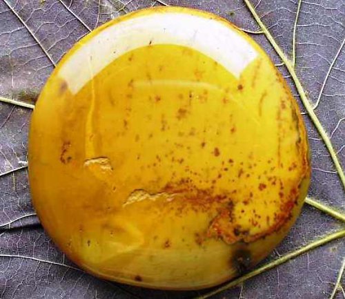 Mokait 44x44mm — foto 2