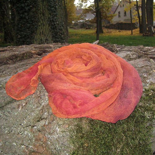 Oranžová — foto 3