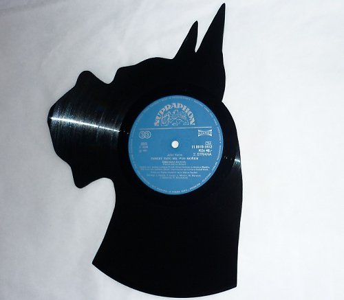 LP platňa trochu inak :-) — foto 2