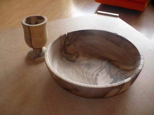 Ořechovka mísová — foto 2