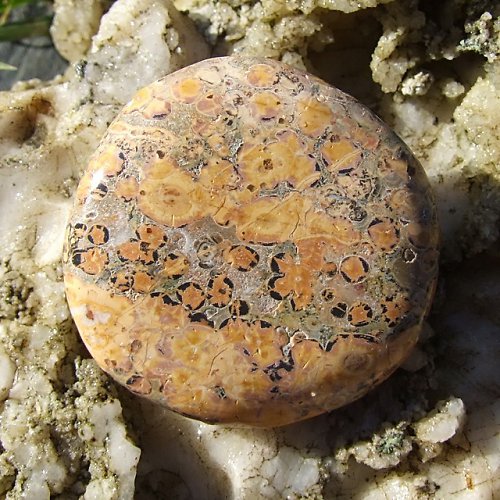 Jaspis Leopardí — foto 2