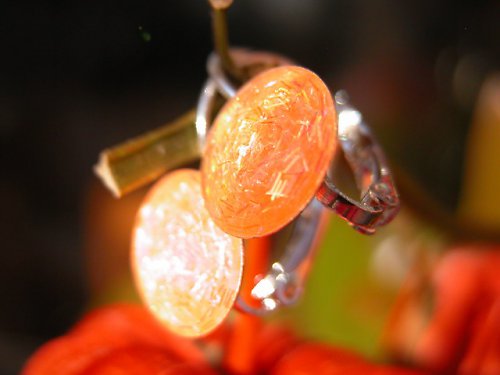 Oranžové třpytivky... — foto 2