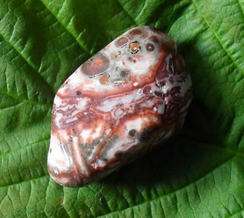 Jaspis leopard 30x19x11mm — foto 2