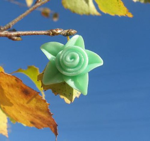 Zelenkavé růžičky — foto 2
