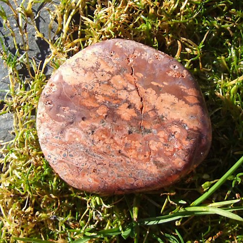 Jaspis Leopardí — foto 2