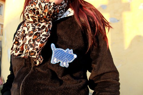 Modropruhopes — foto 5