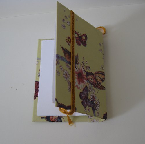 Motýlí zápisníček — foto 3