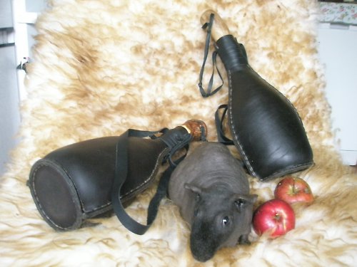Butelky velké-IHNED K MANI!! — foto 2