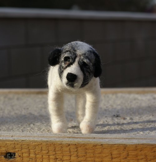 Hector:-) — foto 2