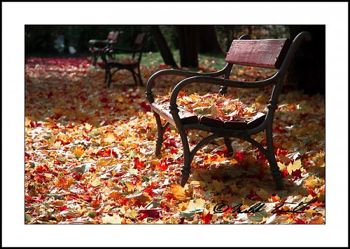 Podzimním spánkem ( 30 x 45 cm ) — foto 2