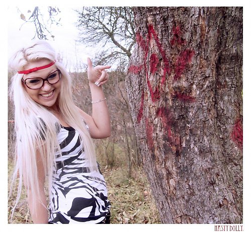 Funny zebra — foto 2