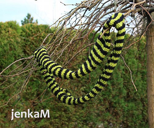 Zebřička která zahřeje… — foto 6