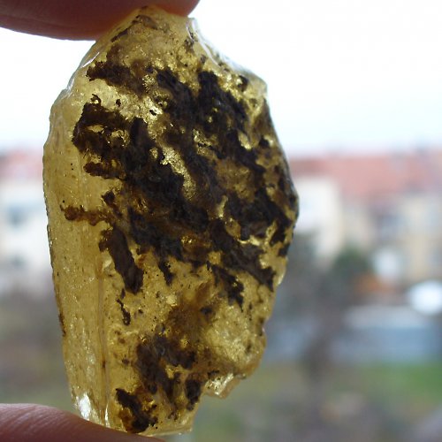 Jantar natur — foto 2