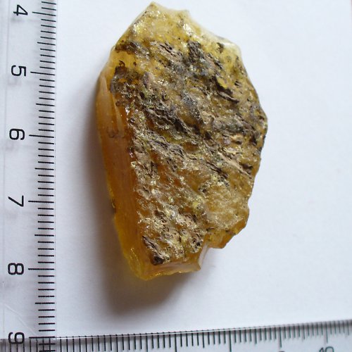 Jantar natur — foto 4
