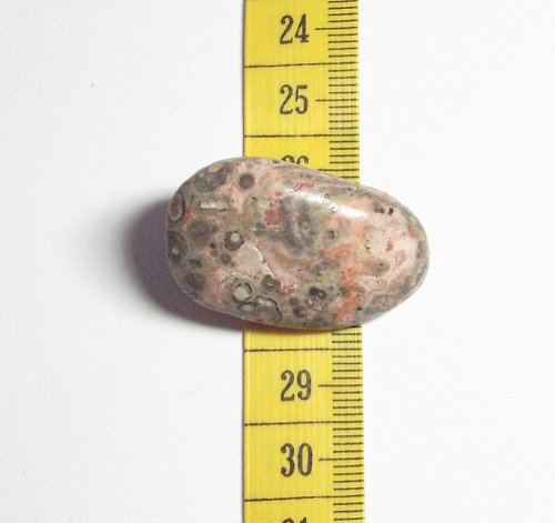 Minerál - kabošon - leopardí jaspis — foto 2
