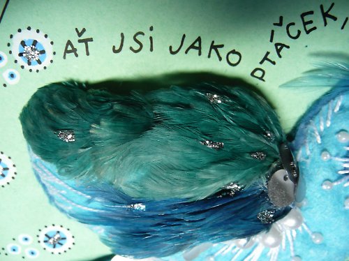 S PTÁČKEM - přání — foto 2